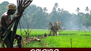 malayalam folk songs  free