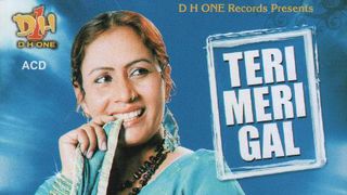 aaj ho chalya hai pura saal aaj teri meri gaal ban gaye.mp3