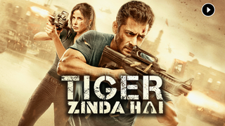 Tiger Zinda Hai Songs Download Mp3 Or Listen Free Songs Online Wynk