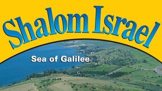 Stream Shalom Israel music  Listen to songs, albums, playlists