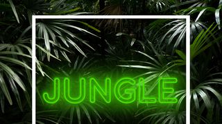 Jungle (feat. JordinLaine) - song and lyrics by Ron van den Beuken