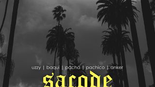 Stream SACODE music  Listen to songs, albums, playlists for free