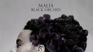 malia_black_orchid_