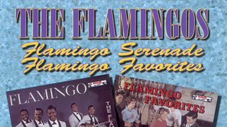 THE FLAMINGOS - Flamingo Serenade