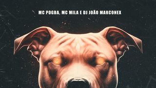 DJ NpcSize - BAFORANDO LANÇA ENQUANTO ELA ME MAMA ft. Mc Pogba MP3 Download  & Lyrics