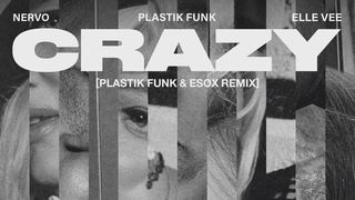 NERVO, Plastik Funk & Elle Vee – Crazy Lyrics