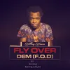 About Fly Over Dem Song