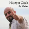 About Gül Nazlım Song