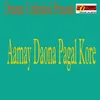 About Aamay Daona Pagol Kore Song