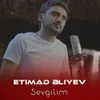 About Sevgilim Song