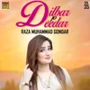 About Tuhnja Dilbar Nawa Dastoor Song