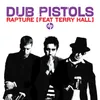 About Rapture-Dub Pistols 'Stevie Nicks Dirty Tricks' Mix Song