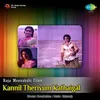 About Kaalam Maari Pocchi Song