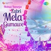 Jabri Mela Ghumannu