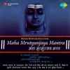 Commentary On Maha Mrutyunjaya Mantra