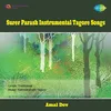 About Pagla Haowar Badal  DineIns.Violin Song