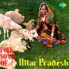 Sari Daar Diyo Holi