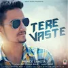 About Tere Vaste Song