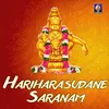 Bhagavan Saranam Bhagavathi Saranam