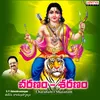 Appayya Darshanam