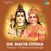 Adi Sankaras Siva Aparatha Kshamapana Stotram