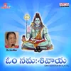 Om Namashivaaya 2