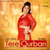 About Tere Qurban Song