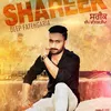 Shareek