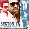 About Sector 17 Song