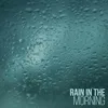 About Rainfall in the Morning Song