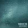 About Sheltered in the Rain Song