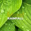 About Rain Drop Song