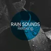 About Stereo Rainfall Song