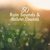 About Rain Descend Song