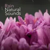 About Large Rains Song