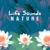 About Natural Secret Song