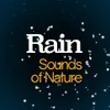 About Heaps of Rain Song