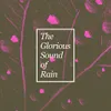 About Rain by the Apple Tree Song