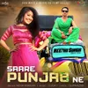 Saare Punjab Ne