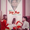 About Tere Bina Song