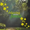 Relaxing Forest Sounds