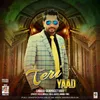 About Teri Yaad Song