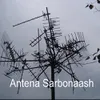 Antena