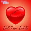 Dil Tur Dihlu