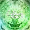 Clear Mind Projection