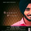 About Soorat Pyari Song