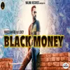 About Black Money Song