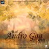 About Tu Hi Andro Gaa Song