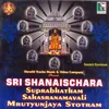 Dasharatha Krutha Shani Stotram
