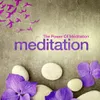 About Triumphant Meditation Song